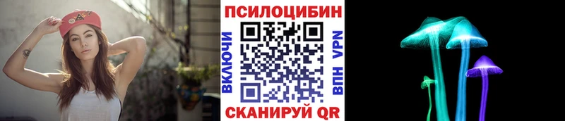 Купить  Галич  Галлюциногенные грибы мухоморы 