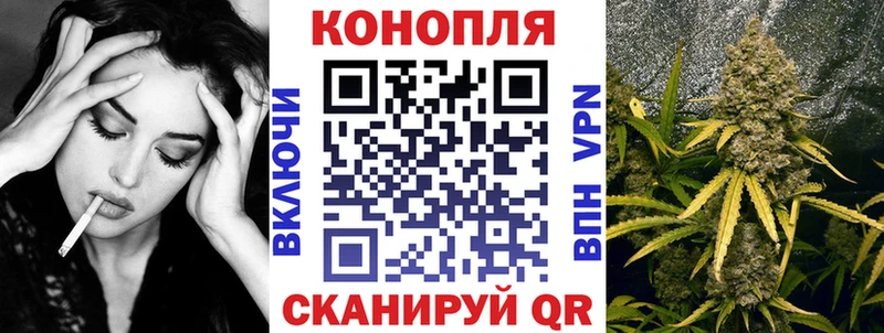 Купить закладки  Галич  Шишки марихуана Ganja 